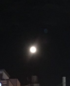 🎵究極の自律化！育てたいなら教育するな