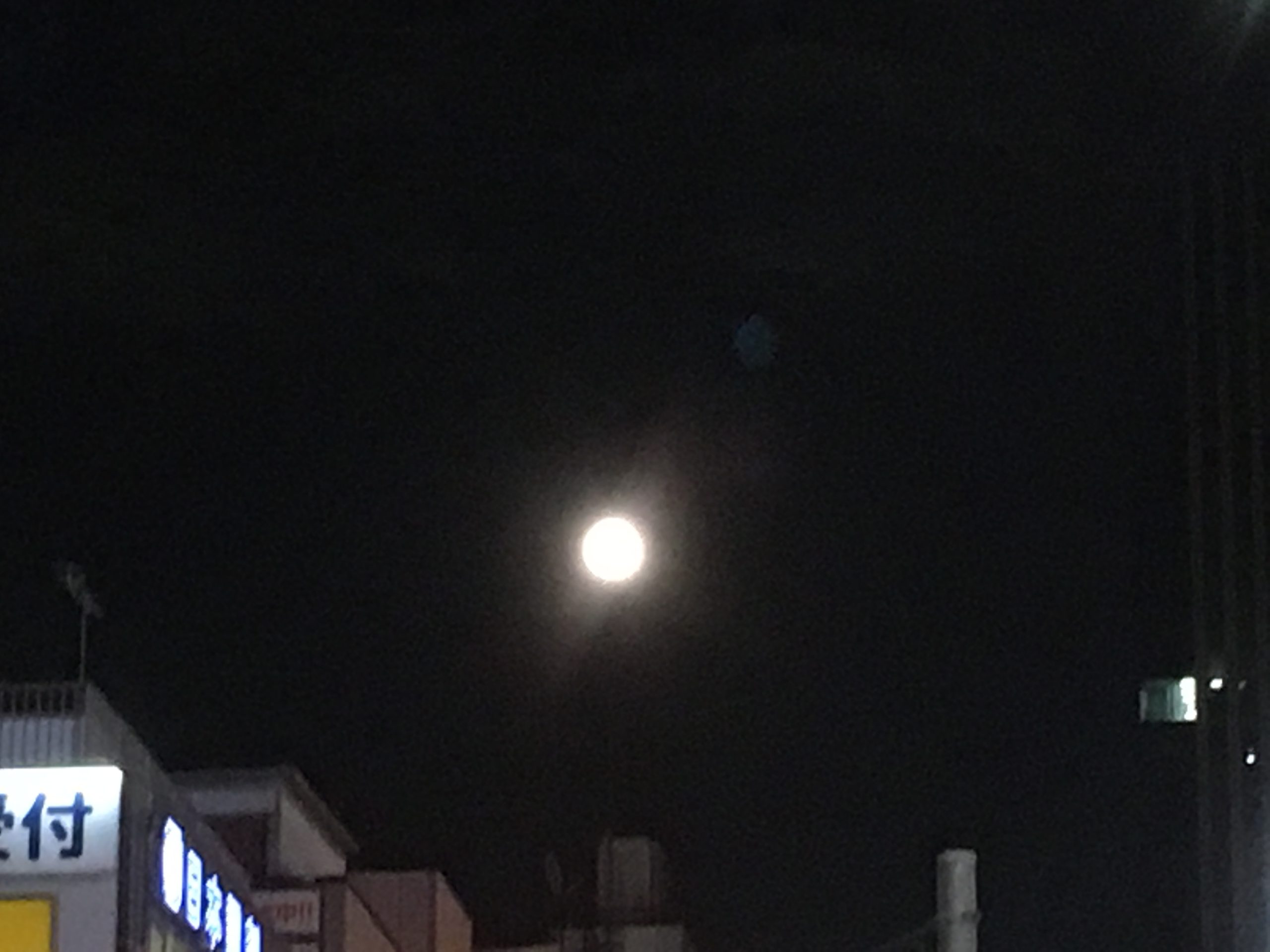 🎵究極の自律化！育てたいなら教育するな