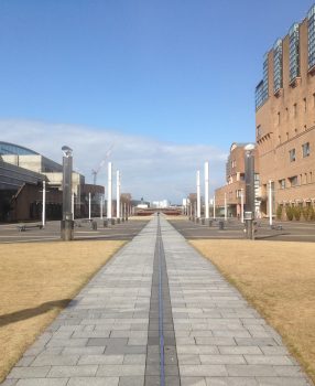 🎵いろいろ取り組んでも「自律組織にならない」ただ１つの原因